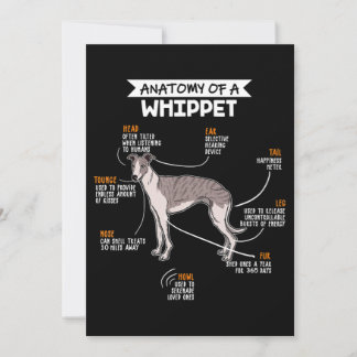 Tarjeta Festiva anatomy of a whippet dog funny dog lover gift