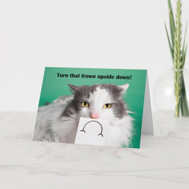 Tarjeta Festiva Animación De Animación Gracioso Gato Con Gato Frío (Anverso)