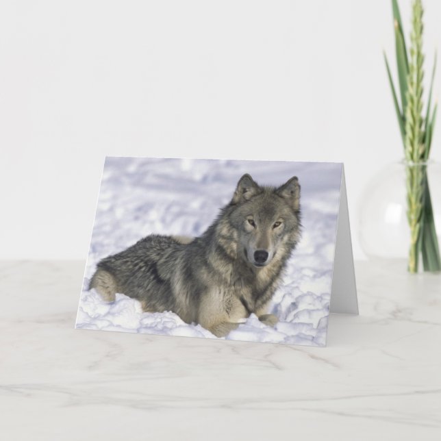 Tarjeta Festiva Animal En Nieve (Anverso)