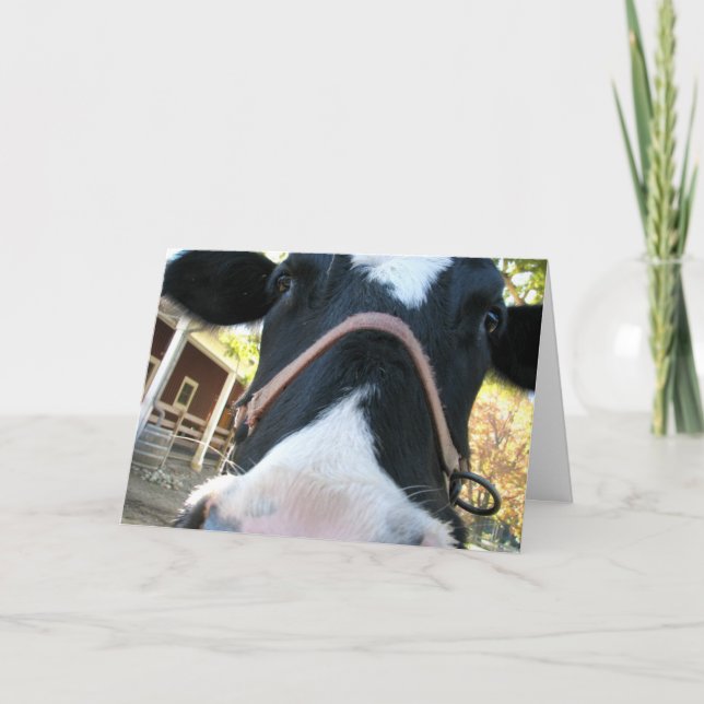 Tarjeta Festiva Año feliz del MOO (Anverso)