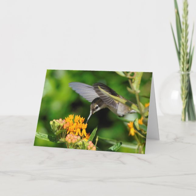 Tarjeta Festiva Año Nuevo Hummingbird (Anverso)