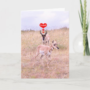 Tarjeta Festiva Antelope Love Card
