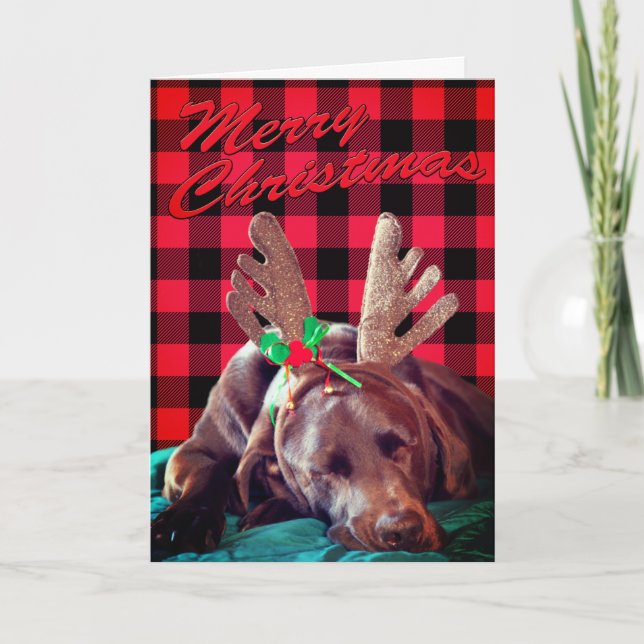 Tarjeta Festiva Antler con relleno de búfalo usando Personalizado  (Anverso)