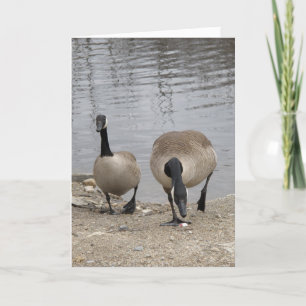 Tarjeta Festiva Apenas el dos de nosotros