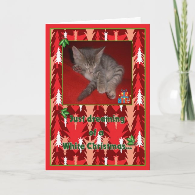 Tarjeta Festiva Apenas soñando (Anverso)