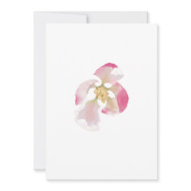 Apertura de Apple Blossom