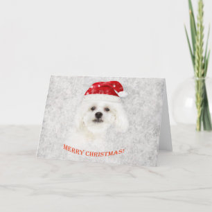 Tarjeta Festiva Apertura maltesa navidades