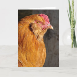 Tarjeta Festiva Aplausos del Rooster de Pascua Buff todas las ocas