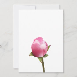 Tarjeta Festiva Apple Blossom Bud