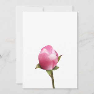 Tarjeta Festiva Apple Blossom Bud