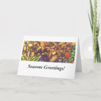 Apple rojo en el jardín