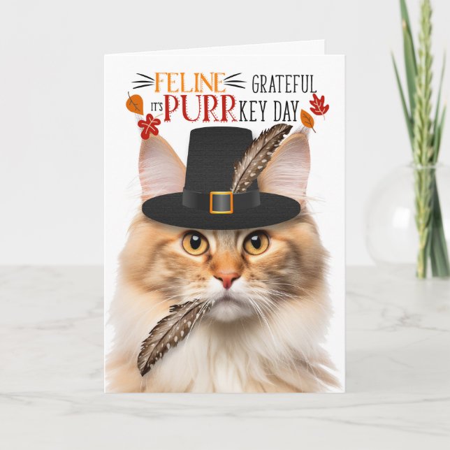 Tarjeta Festiva Apricot: Día de la Graciosa PURR de Gato Forestal  (Anverso)