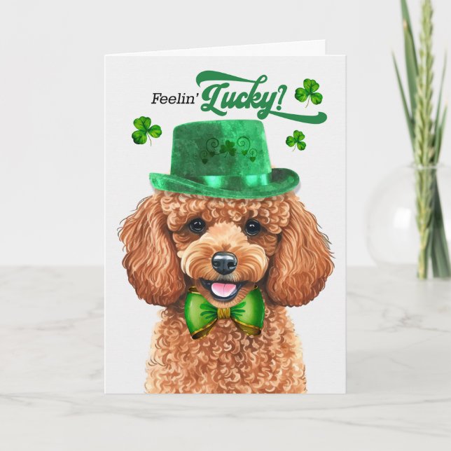 Tarjeta Festiva Apricot Poodle Dog Feelin's Lucky St Patrick's Day (Anverso)