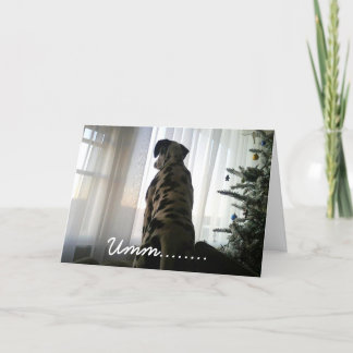 Tarjeta Festiva Apuesto el Dalmation