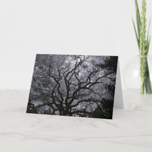 Tarjeta Festiva Árbol cósmico - cúmulo de estrellas