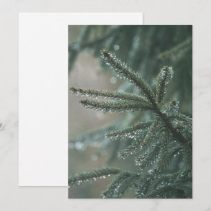 Tarjeta Festiva Árbol de abeto verde primer plano, estética de Nav