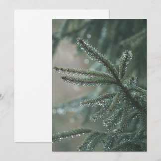 Tarjeta Festiva Árbol de abeto verde primer plano, estética de Nav