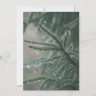 Tarjeta Festiva Árbol de abeto verde primer plano, estética de Nav