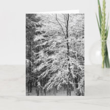 Árbol de arce delineado en nieve