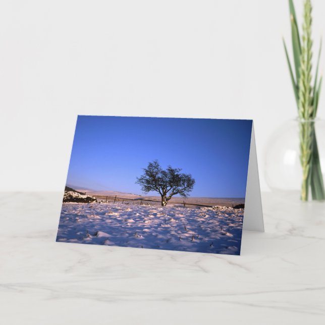 Tarjeta Festiva Árbol de espina dorsal (Anverso)