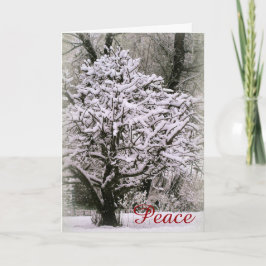 Tarjeta Festiva Árbol de manzana cubierto de nieve