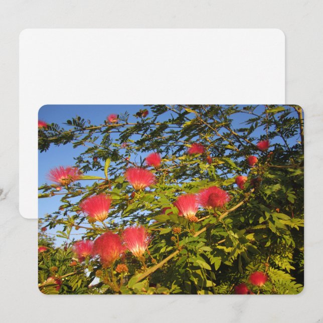 Tarjeta Festiva Árbol de seda persa (Anverso / Reverso)