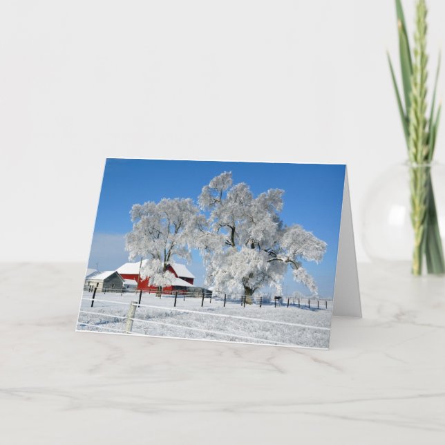 Tarjeta Festiva Árbol del hielo de la granja de Amish (Anverso)