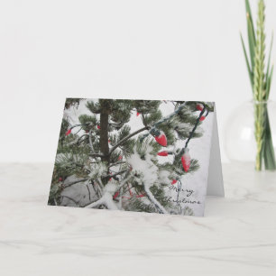 Tarjeta Festiva Árboles de invierno cargados de nieve