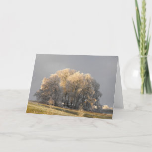 Tarjeta Festiva Árboles en una mañana helada