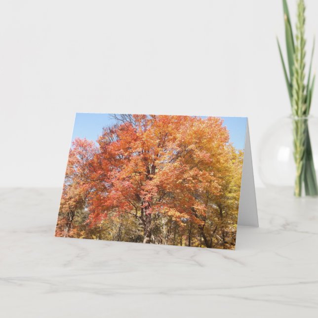 Tarjeta Festiva Árboles naranjas (Anverso)