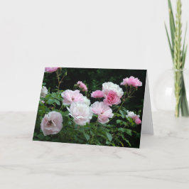 Tarjeta Festiva arbustos de flores rosas y blancas. Floral,