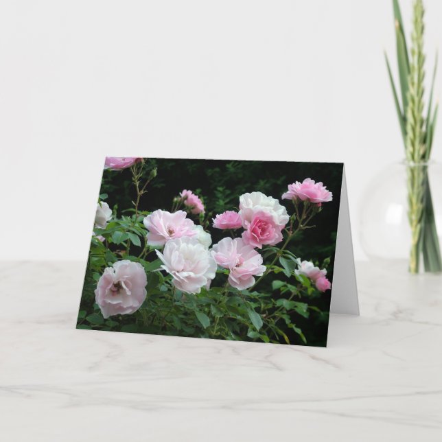 Tarjeta Festiva arbustos de flores rosas y blancas. Floral, (Anverso)