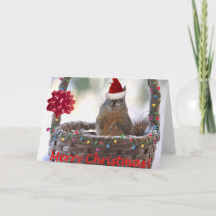 Tarjeta Festiva Ardilla de navidades en canasta con nieve