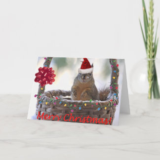 Tarjeta Festiva Ardilla de navidades en canasta con nieve