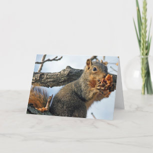 Tarjeta Festiva Ardilla de Pascua