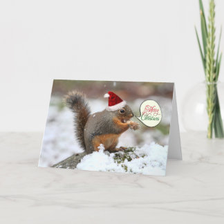 Tarjeta Festiva ardilla en Navidades de nieve