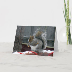 Tarjeta Festiva ardilla gris en invierno