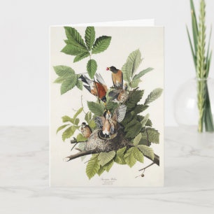 Tarjeta Festiva Arte Antiguo Nido de Pájaro Robin Americano de Aud
