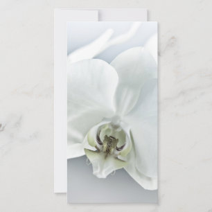 Tarjeta Festiva Arte Botánico de Orquídea Blanca Elegante
