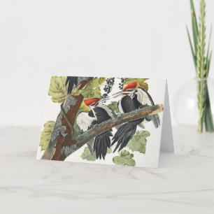 Tarjeta Festiva Arte de ave carpintero pileado vintage de Audubon