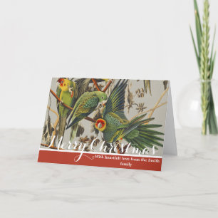 Tarjeta Festiva Arte de ave loro de Carolina vintage de Audubon