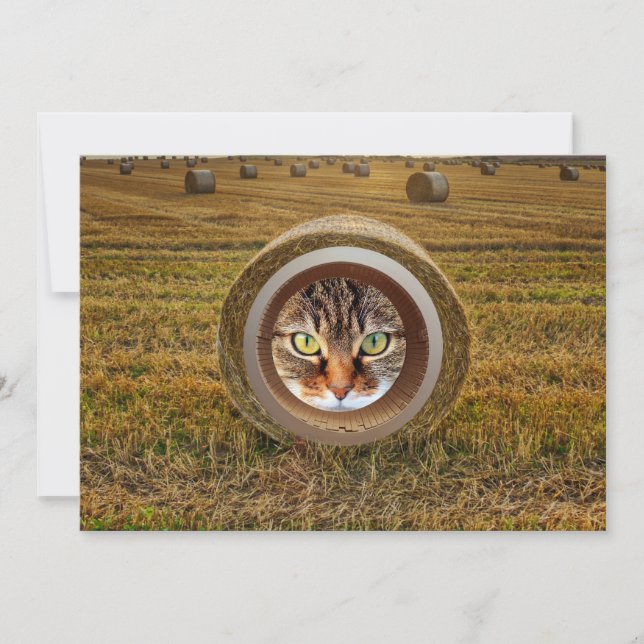 Tarjeta Festiva Arte de Cat In Hayfield Ranchers Farmers Round Bal (Anverso)