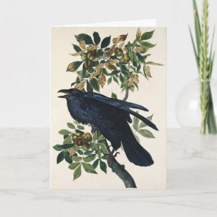 Tarjeta Festiva Arte de la naturaleza del cuervo de Audubon vintag