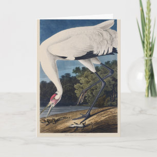 Tarjeta Festiva Arte de la Naturaleza del Pájaro Grulla Trompetera