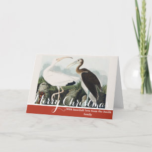 Tarjeta Festiva Arte de Naturaleza del Ibis Blanco de Audubon Vint