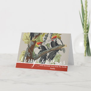 Tarjeta Festiva Arte de pájaro carpintero pileado vintage Audubon