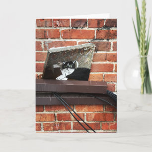 Tarjeta Festiva arte del gato callejero