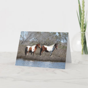 Tarjeta Festiva Assateague Ponies, gracias