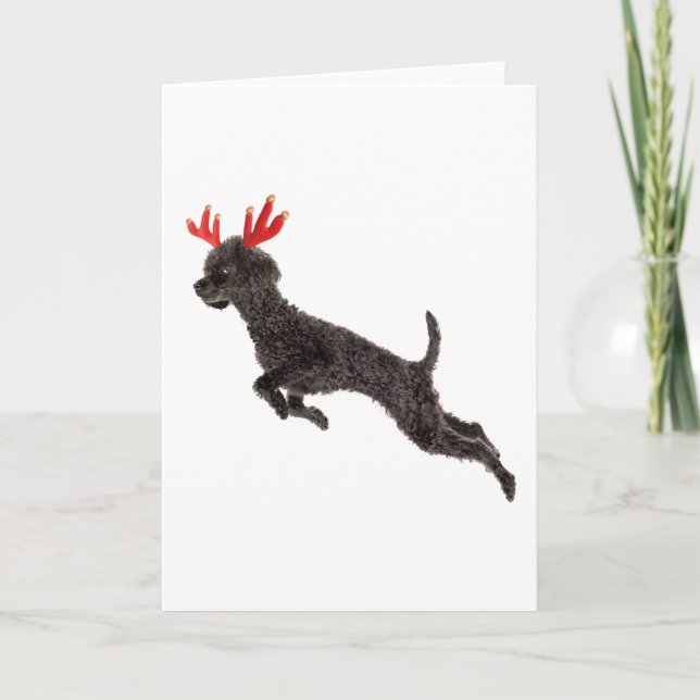Tarjeta Festiva Astas negras del reno del perro de caniche de (Anverso)