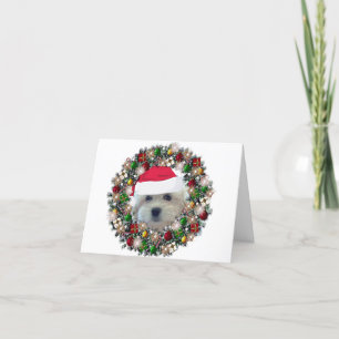 Tarjeta Festiva At Christmas - Havanese